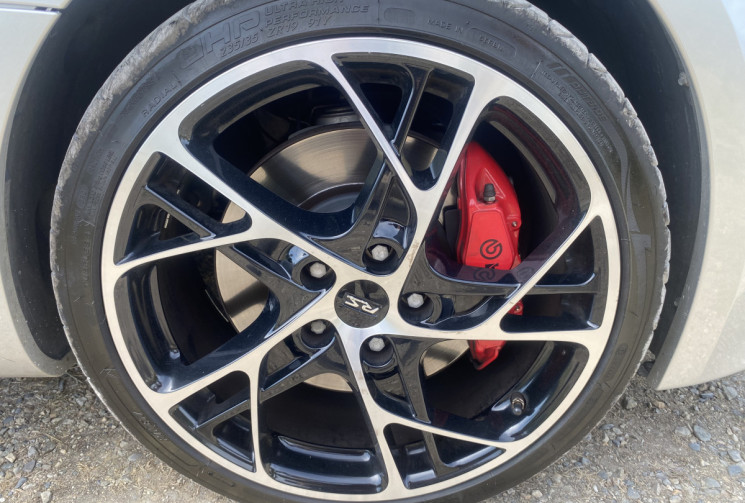 RENAULT MEGANE 3 RS Cup 275 cv