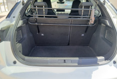 Citroën DS3 Crossback 1.2 THP Puretech 12V EAT8 S&S 131 Cv