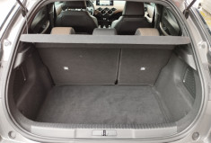 DS DS 3 Crossback 1.2 PureTech 130 S&S EAT8 So Chic