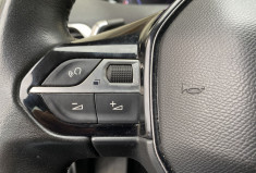 Peugeot 3008 II PHASE 2 BUSINESS 1.5 BLUE HDI EAT8 S&S 130CH BVA