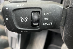 Peugeot 3008 II PHASE 2 BUSINESS 1.5 BLUE HDI EAT8 S&S 130CH BVA