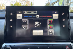 CITROEN C4 CACTUS FEEL 82 ch / Flexfuel Ethanol E85 / Garantie 6 mois
