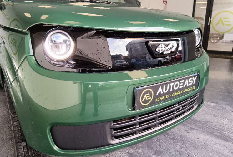 Ligier Myli FINITION E.PIC ÉTAT NEUF OPTION BATTERIE ÉTENDUE DIRECTION ASSISTÉE ET CARPLAY