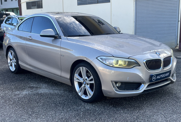 BMW Série 2 Coupé 218d 2.0 d 16V Steptronic 150 cv Boîte auto // Boite automatique // Bon état