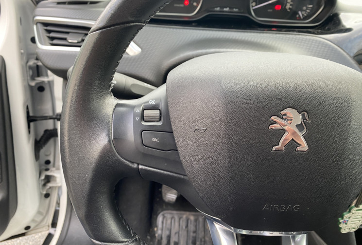 Peugeot 2008 1.5 BlueHDi 16V S&S 102 CV ACTIVE BUSINESS 