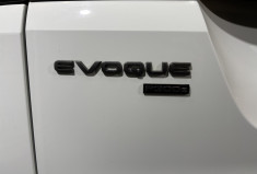 Land-Rover RANGE ROVER EVOQUE II SE P300E 309 PHEV AWD BVA8 R-DYNAMIC / 1ERE MAIN / SUIVI LAND