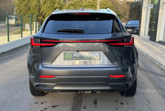 LEXUS NX ll 450h+ 309 4WD LUXE ECVT * ATTELAGE * ENTRETIEN FULL LEXUS * GARANTIE LEXUS RELAX OK