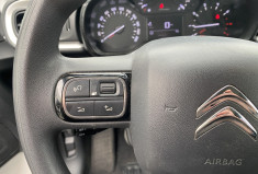 Citroën C3 1.5 BlueHDi 102 CV S&S Feel Business