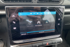 Citroën C3 1.5 BlueHDi 102 CV S&S Feel Business