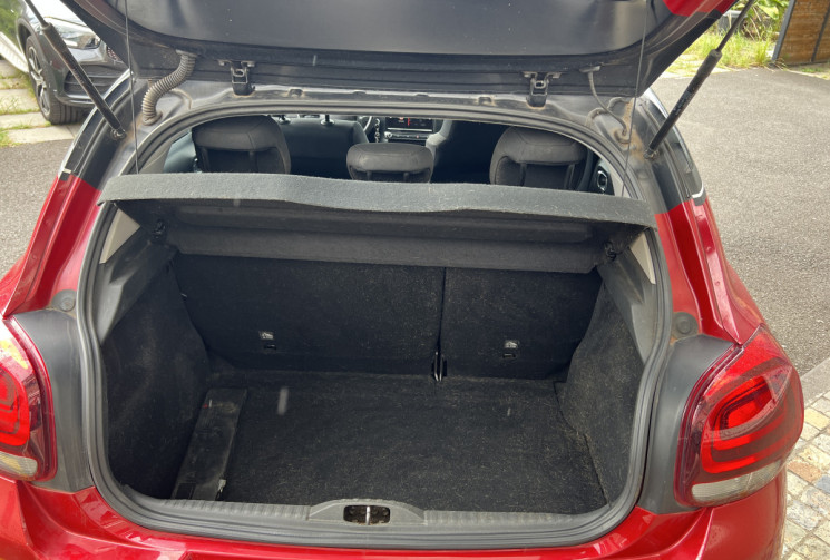 Citroën C3  III 1.2 THP 110 cv SHINE BUSINESS