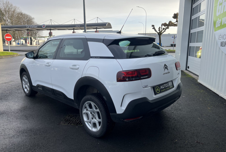 CITROEN C4 CACTUS C4 Cactus 100 cv 1.6 BlueHDi Feel Business