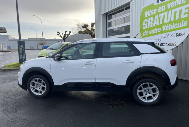 CITROEN C4 CACTUS C4 Cactus 100 cv 1.6 BlueHDi Feel Business