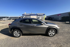Lexus UX 250h 2WD Pack Business MY20