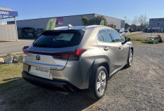Lexus UX 250h 2WD Pack Business MY20