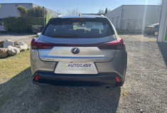 Lexus UX 250h 2WD Pack Business MY20