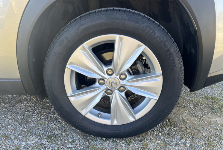 Lexus UX 250h 2WD Pack Business MY20