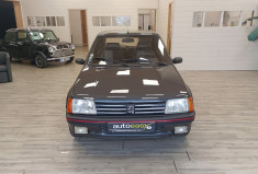 Peugeot 205 GTi Phase 2  1.9 i 130cv