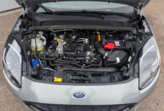 Ford Puma ST-LINE 1.0 Ecoboost Flexifuel 125 Mhev E85
