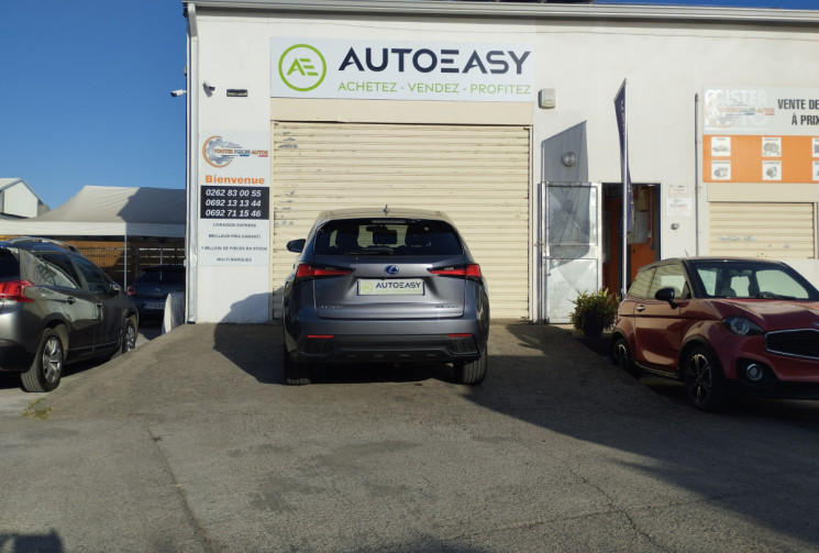 Lexus NX 300H  2.5 HSD 197 F SPORT 4WD