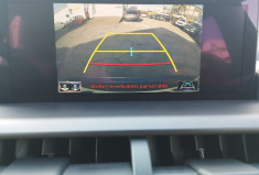 Lexus NX 300H  2.5 HSD 197 F SPORT 4WD