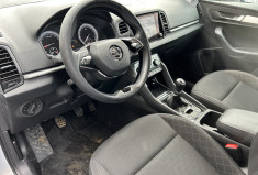 Skoda KAROQ 1.6 TDI 4X2 business 116 cv