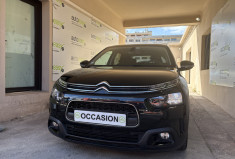 Citroën C4 CACTUS BlueHDi 100ch FINITION Origins 
