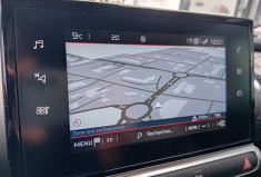 Citroën C4 CACTUS BlueHDi 100ch S&S Shine E6.d-TEMP - Caméra de recul - Carplay - 