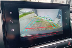 Citroën C4 CACTUS BlueHDi 100ch S&S Shine E6.d-TEMP - Caméra de recul - Carplay - 