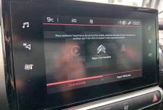 Citroën C4 CACTUS BlueHDi 100ch S&S Shine E6.d-TEMP - Caméra de recul - Carplay - 