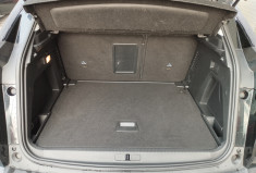 Peugeot 3008  II 1.5 BlueHDi 130 S&S Active Business EAT8 