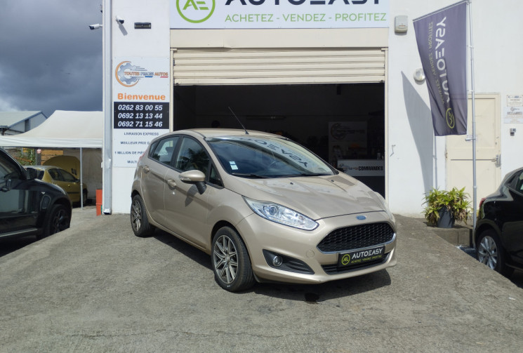 Ford Fiesta 1.0 ECOBOOST 100 BUSINESS