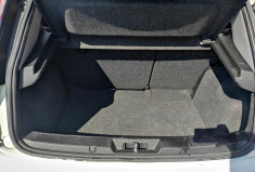 FIAT PUNTO EVO 1.3 JTDM 75 CH 1ERE MAIN CLIM