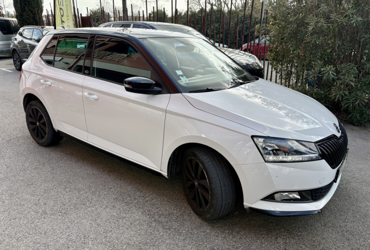 Skoda FABIA 95cv Monte Carlo / 1ere main / Super état / 47500km /