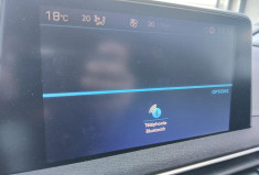 Peugeot 3008 1.5 BlueHDi 130 CV ALLURE BUSINESS EAT8 S&S