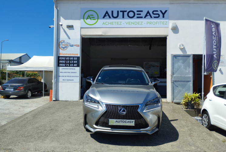 Lexus NX 300H 4WD 197 F SPORT BVA