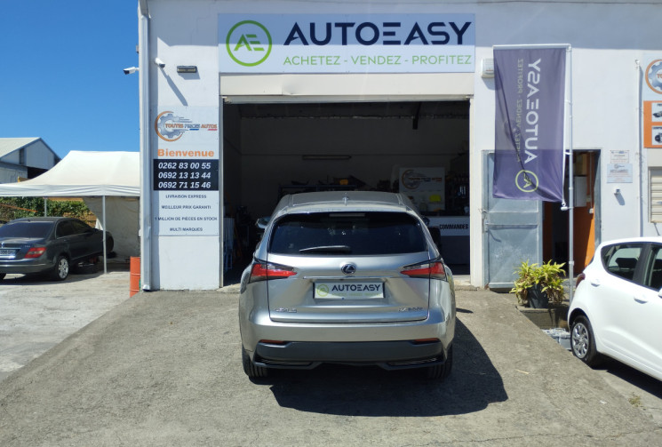 Lexus NX 300H 4WD 197 F SPORT BVA