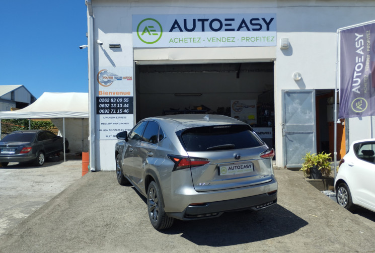 Lexus NX 300H 4WD 197 F SPORT BVA