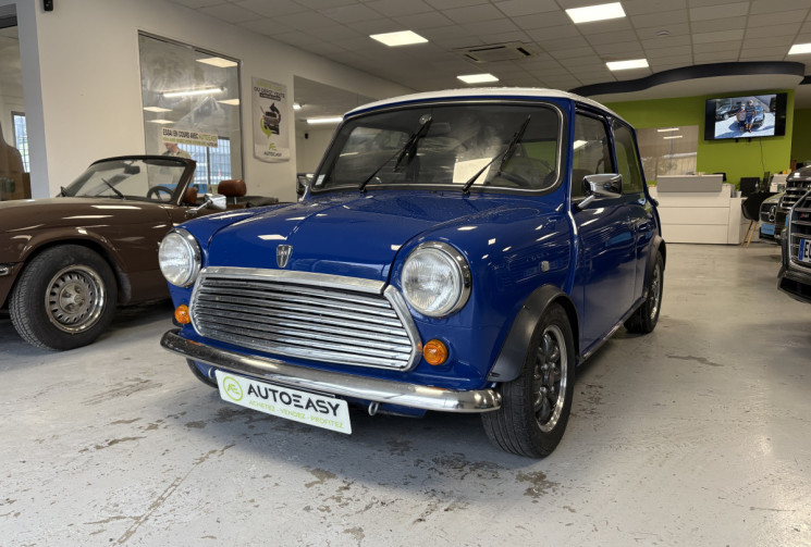 Rover 25 MINISEALIN 1300 