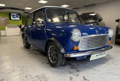 Rover 25 MINISEALIN 1300 