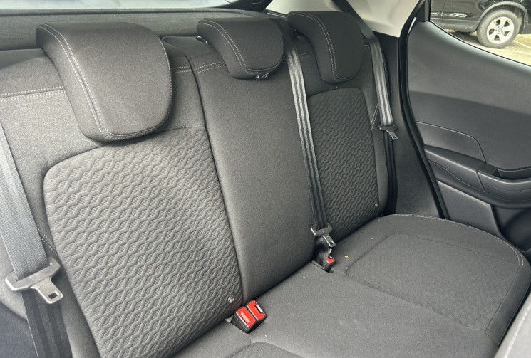 Ford Fiesta VII Phase 2 1.0 SCTi EcoBoost Flexifuel 95 Titanium Business 1°main/Garantie Ford/ E85