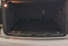 Volkswagen Caddy III Phase 2 1.6 TDI 16V FAP Combi 75 cv