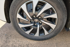 Ford Focus IV 1.0 SCTi 12V EcoBoost Flexifuel mHEV 125 cv TITANIUM BUSINESS