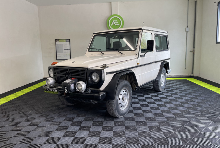 Mercedes Classe G 200 GE SWB Break + Treuil électrique / Restauration à terminer