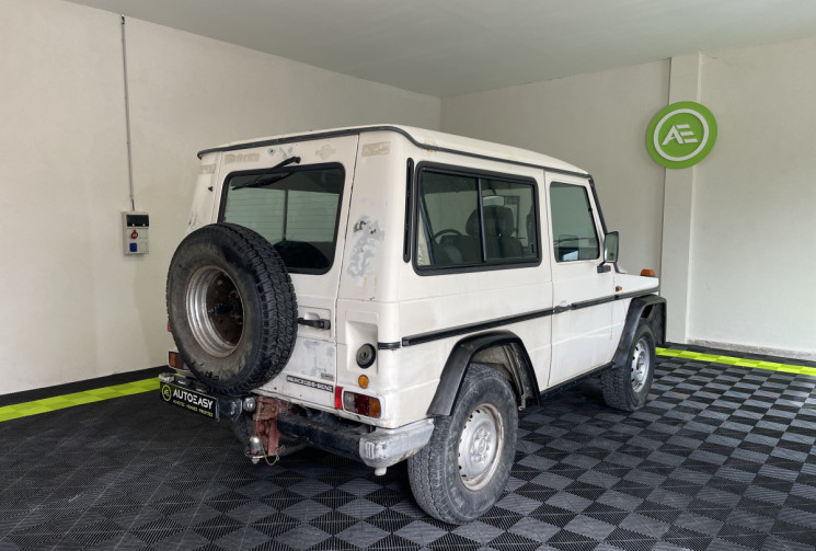 Mercedes Classe G 200 GE SWB Break + Treuil électrique / Restauration à terminer