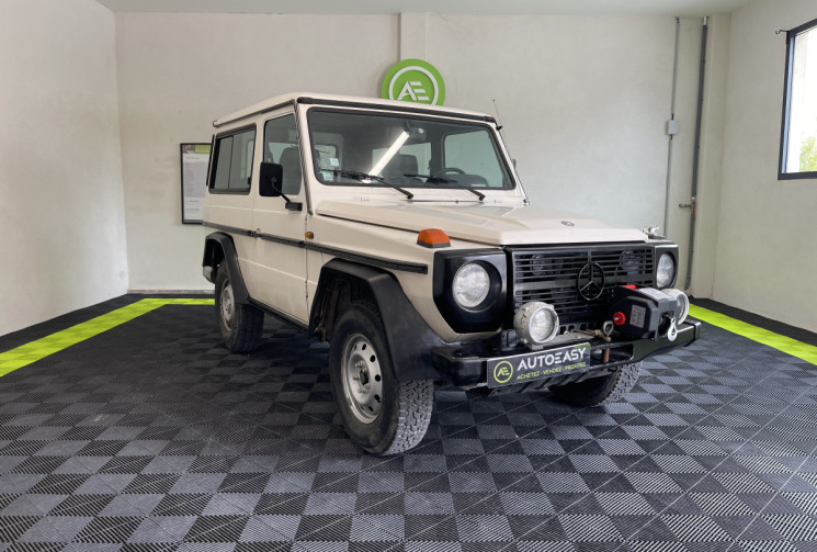 Mercedes Classe G 200 GE SWB Break + Treuil électrique / Restauration à terminer