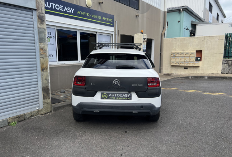 Citroën C4 CACTUS  1.6 BlueHDi 100 cv SHINE