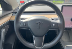 Tesla Model 3  Phase 2 Standard Range Plus 325 cv