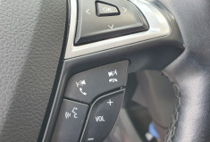 Ford S-MAX II 2.0 TDCi  AWD PowerShift S&S 180 CV TITANIUM