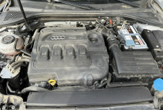Audi A3 SPORTBACK 1,6l TDI 116 cv Business