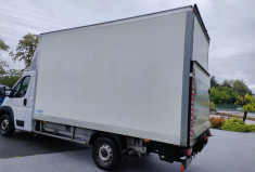 FIAT Ducato GRD VOL 3.5 MAXI L 2.3 MULTIJET 160CH PRO LOUNGE 20M³ 20825€HT